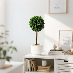 Preserved Boxwood Plant, 20" Decorative Boxwood Topiary Ball