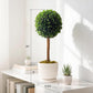 Preserved Boxwood Plant, 20" Decorative Boxwood Topiary Ball