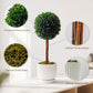 Preserved Boxwood Plant, 20" Decorative Boxwood Topiary Ball